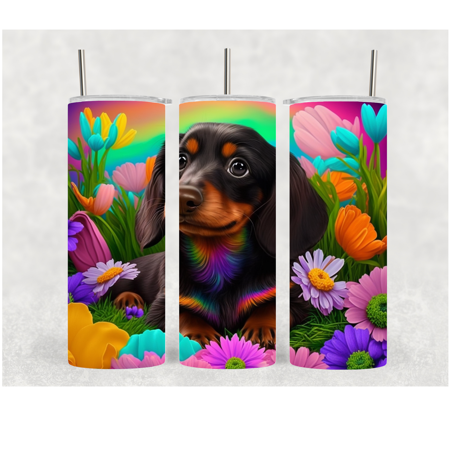 20oz Colorful Daschund