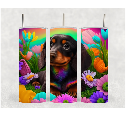 20oz Colorful Daschund