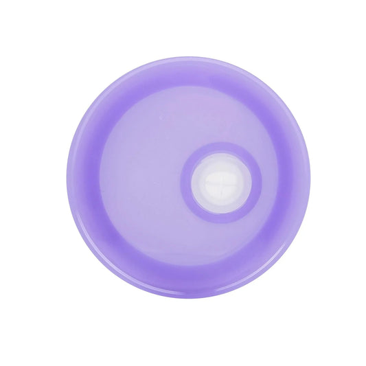 Master Maker Crafts -  16 oz Glass Can Single Wall - Purple