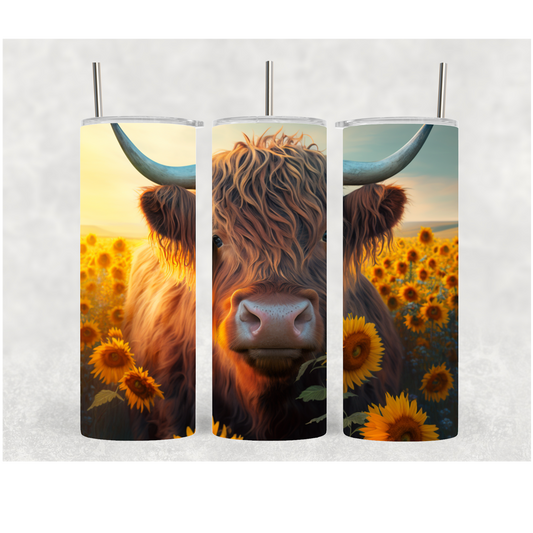 20oz Sunflower Highland